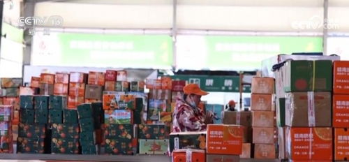 針紡織品銷售數(shù)據(jù)升溫 多措并舉織就經(jīng)濟(jì)民生“暖意”畫卷